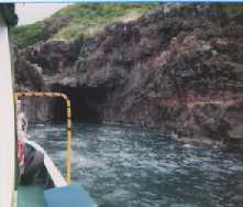 �j�������V���D����