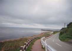 �j������̊C��