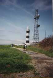 �����蓔��