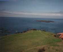 ������̑���