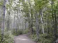 ��y�X�ь���