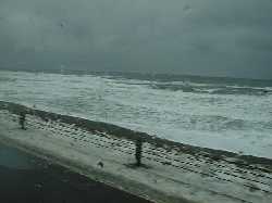 �H�y���o�X����̕��i