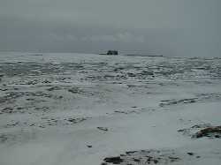 �������L�˗��̊C��