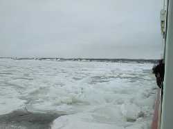 �ӕX�D����