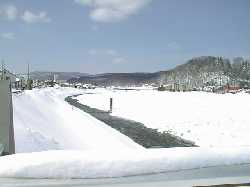 �����A������