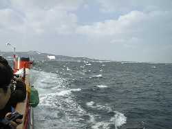 ��ʃI�z�[�c�N�C