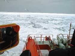 �K�����R������̗��X