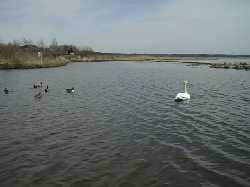 �E�g�i�C��