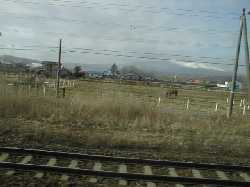 �Б�̖q��ƒM�O�R