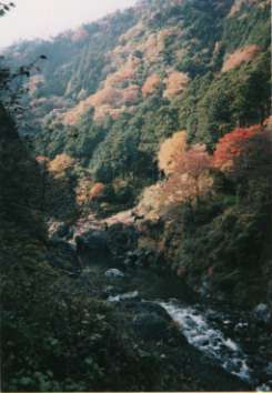 ���m���k�J�̍g�t