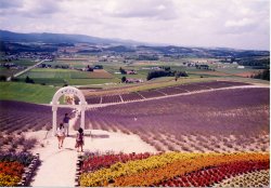 ���݂ӂ�̃��x���_�[��