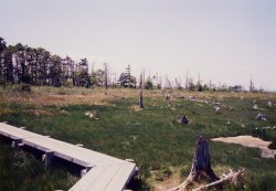 �g�h����