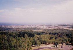 �V�s�R�W�]�䂩��