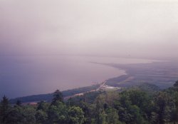 �y��R����T���}��