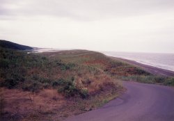 �T���}�΂̍��B