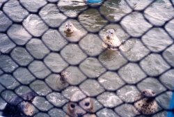 �m�V���b�v��������