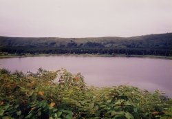 �I�^�h�}����