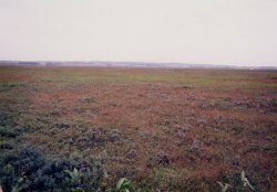 �T���x�c����