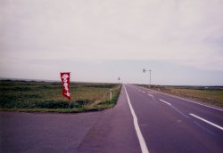 ���{�C�I���������C��