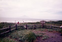 �t����C��