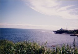 �[���z��