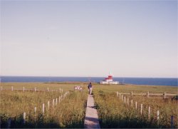 ���Ζ�����