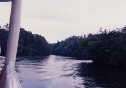 �����Α��