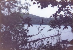 �I���l�g�[