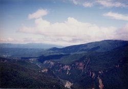 ���x����w�_��