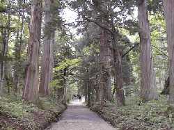 �ˉB���̉@��