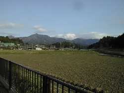 �����̓c��