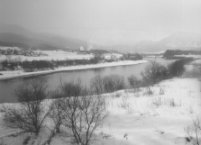 �юR������