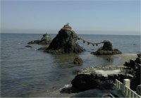 �񌩉Y�v�w��