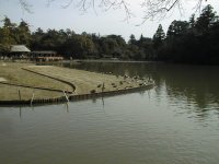 �O�{���ʒr