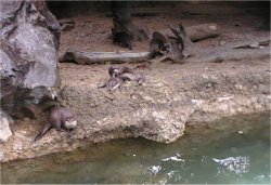 �̂������������̐���