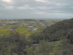 �O��R���