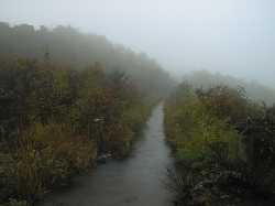 �S���o����ԉ�