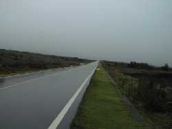 �S���n�C�E�F�C