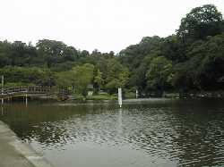 ���i���J