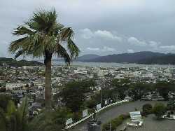 �V���}���������