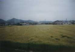 �������������