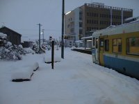 �閾���̕����w