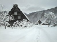 ���싽���Ɖ�