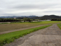 �T�C�N�����O���[�h���