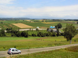 �p�m���}���[�h