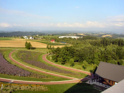 �k���̋u����