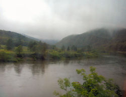 ���}�ԑ�����V����