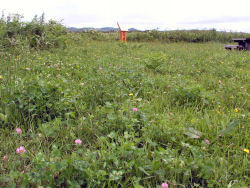 �p���P������