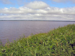 �p���P��