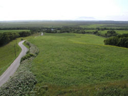 �{�m�䂩��